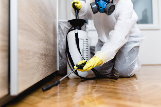 Wasp Removal Services in Flomaton, AL