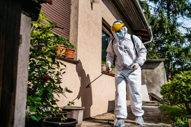 Best Termite Control Services  in Flomaton, AL