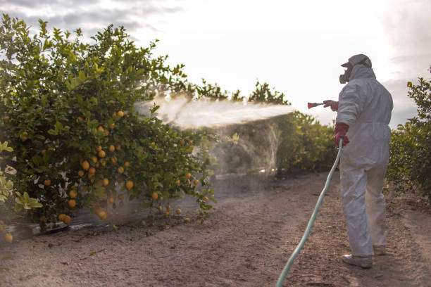  Flomaton, AL Pest Control Pros