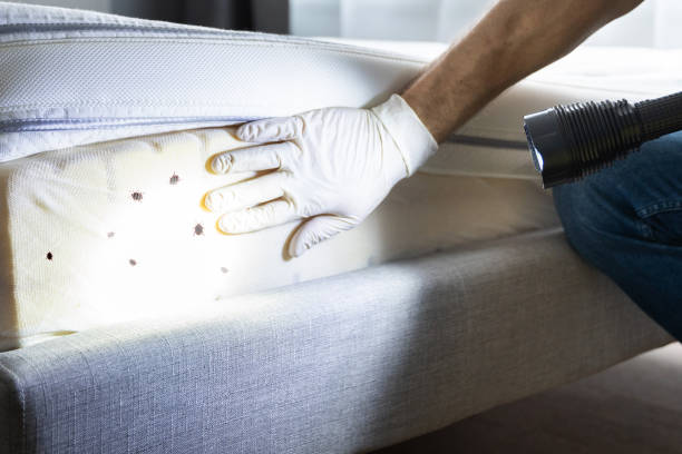 Best Affordable Pest Control Services  in Flomaton, AL