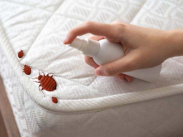 Best Pest Inspection Near Me  in Flomaton, AL