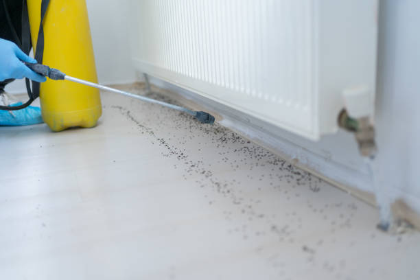 Best Mosquito Control Services  in Flomaton, AL