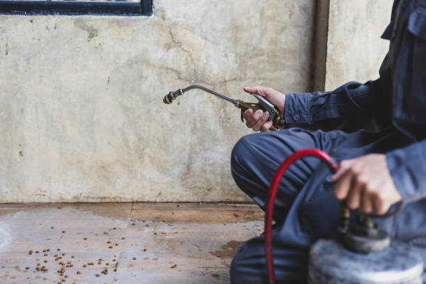 Best Rat Extermination Near Me  in Flomaton, AL